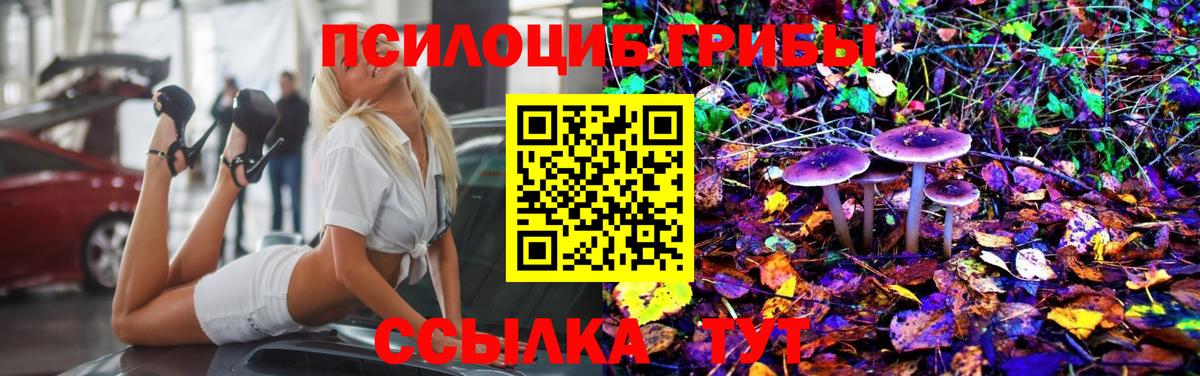 Псилоцибиновые грибы Psilocybe Новый Уренгой